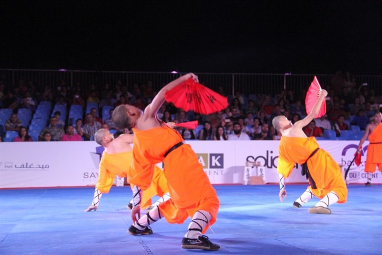 Martial Arts Festival